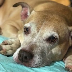 Meet your Posher, Keri